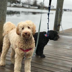 Meet your Posher, Stephen